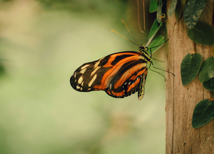 Downsizing Your Life: The Quiet Liberation of Less