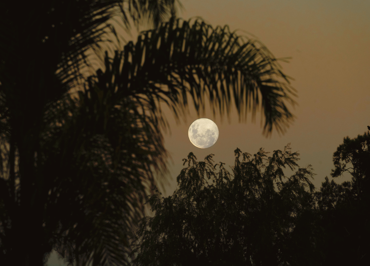 love affair with life