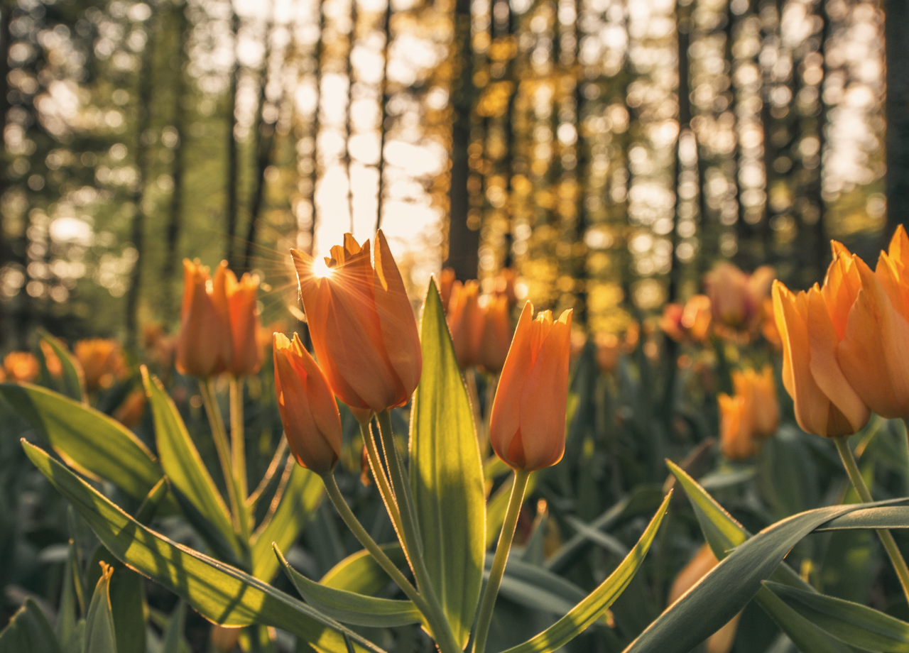Worthless On Purpose: A Quiet Rebellion