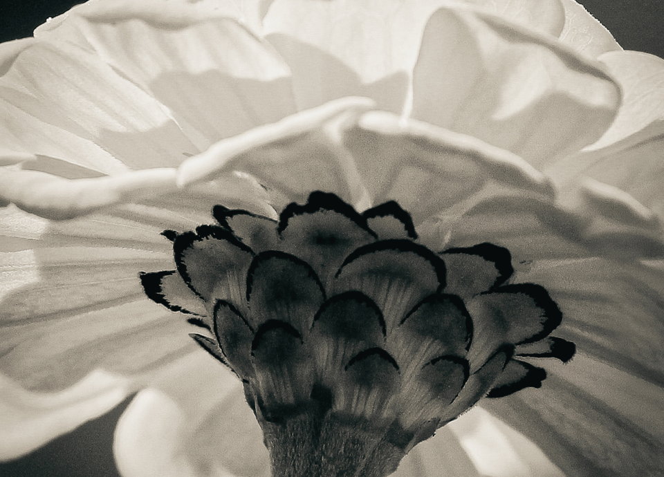 between optimism and cynicism