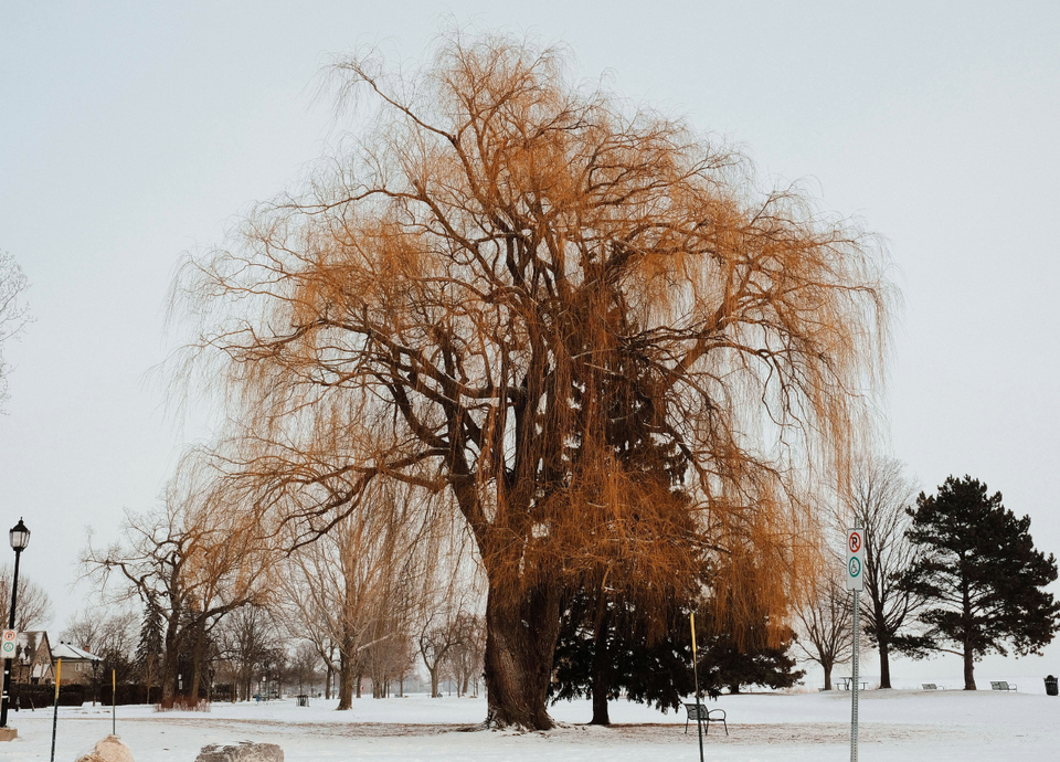 the little girl atop englewood hill