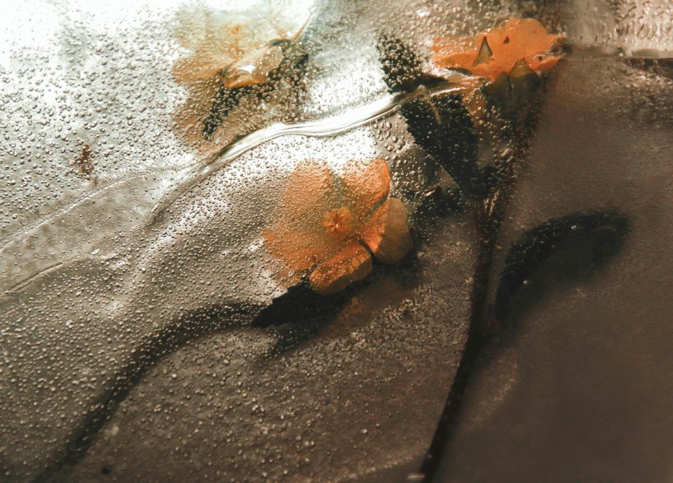 life hangs in the balance