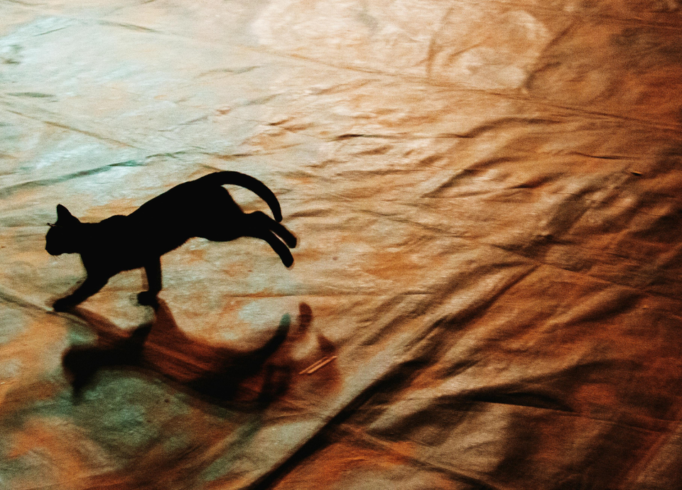 making it up as i go