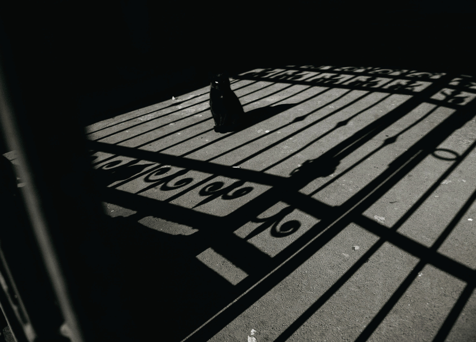 🔒 intelligence of the threshold [audio]